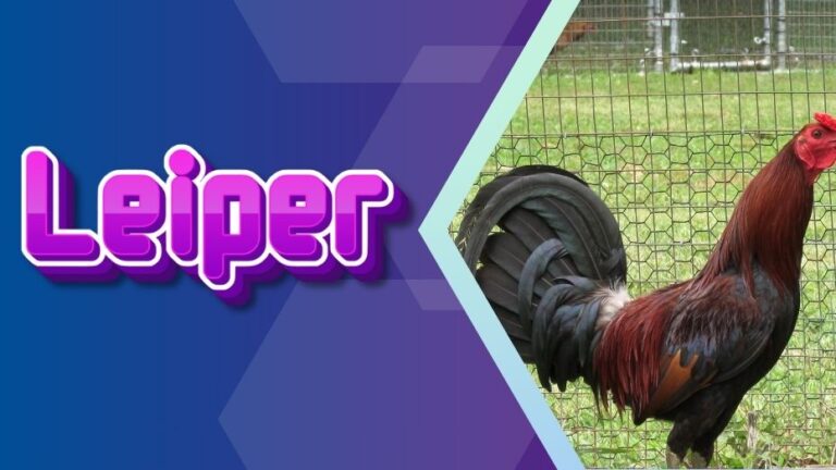 Leiper Gamefowls – Top Fighting Breed