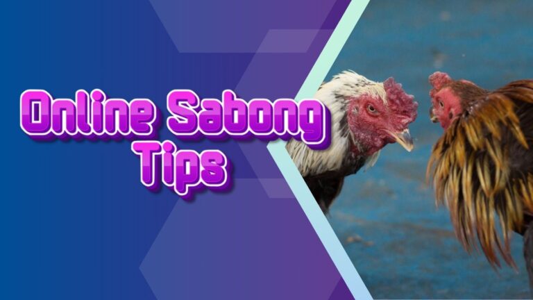 Online Sabong Tips | Comprehensive Guide